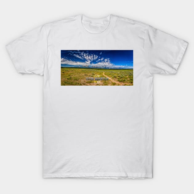 Grand Teton Mountain Range T-Shirt by Gestalt Imagery